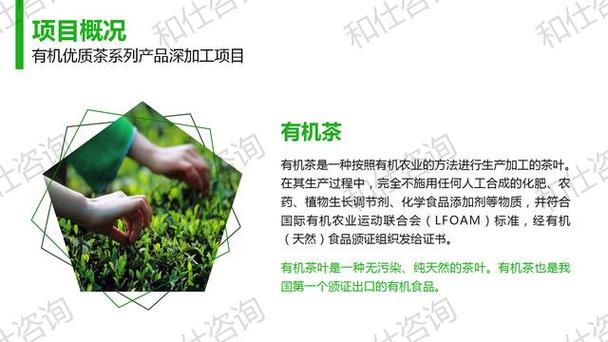 有机优质茶系列产品深加工项目建议书