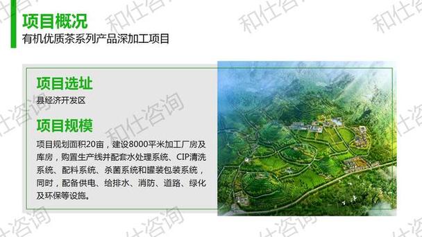 有机优质茶系列产品深加工项目建议书